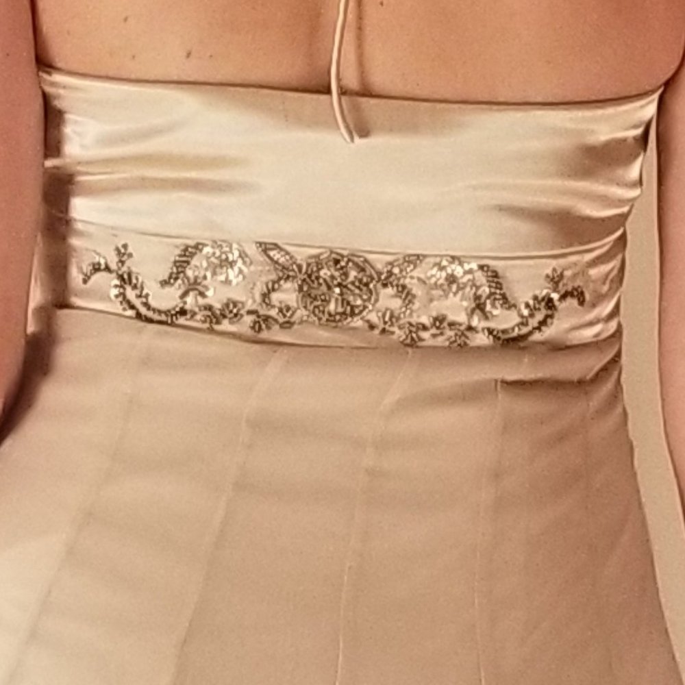 NWOT Sue Wong Nocturne Beaded Cream Dress - Picture 4 of 4